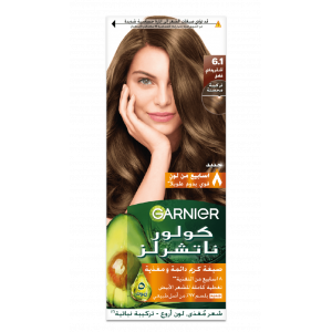 GARNIER COLOR NATURALS 6.1 DARK ASH BLONDE — NOURISHING CREAM PERMENANT HAIR COLOR 150 GM